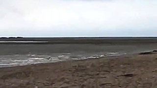 On the Beach
