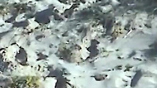 Young Lezzies Love Oil Massage on The Beach