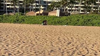 Hot Ladies Blows Dick Outdoors