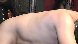Hard Banged