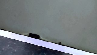 Amateur couple hidden cam