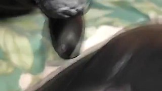 Handjob in Black Leather Gloves