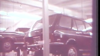 Vintage sex in the car