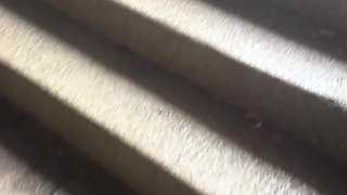 Pissing in the Underpass to the Bus Stop