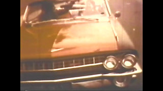 Vulgar Capricious Pig