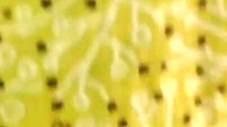 Sexy Hot Girl Boobs Press Gug in Mouth Show Dildo Show.
