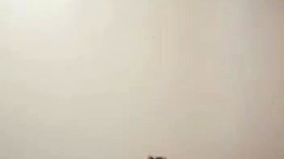 Hot Big Black Latina booty Black and Ebony