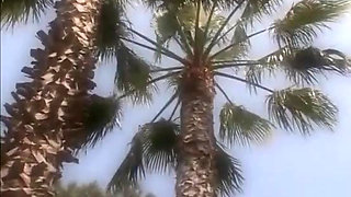 Audrey Hollander loves drinking cum