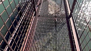 Foot Fetish Outdoor Bridge Crossing