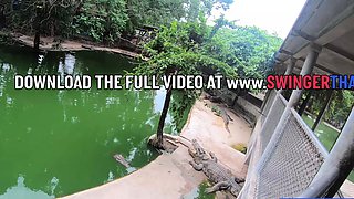 Crocodile feeding and pussy pleasing