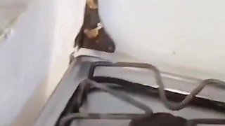 Big Ass Latina Girl Makes Food and Twerks in the Kitchen