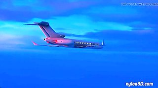 3D Animated MILF Boss in Stockings Takes BBC on Private Jet - Cartoon Sex Fantasy