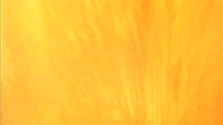 Indian Mirabella Estella Pornstar Sucks off Delivery Guy.