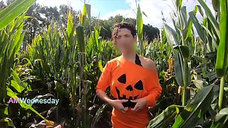 Amwednesday - Corn Field