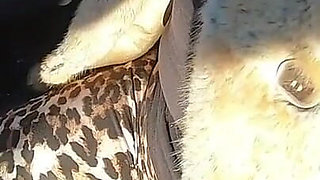 2-hour Outdoor Risky Blowjob & Fuck Compilation - Wild, & Uncut Pleasure