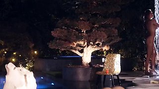 Angelika Grays - Starlit