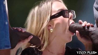 Cumshot Compilation