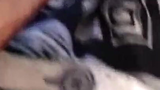 Dear little step-sister 2 in a slutty house