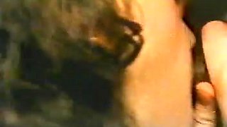 Classic porn movie shows couples making vintage sex