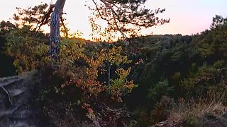 Cold Outdoor Passion: Redhead Lovers Enjoy Romantic Forest Sex