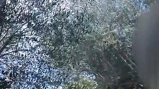 Angela Doll Does Little Story X Brunette French MILF Orgy