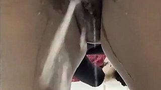 In the Toilet Farting Pissing Compilation