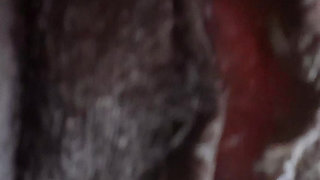 German fat hairy black pussy closeups