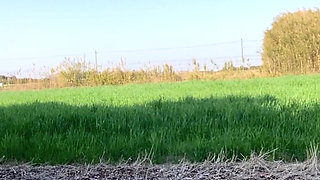 No. 151: Taking Shirataki for a Walk