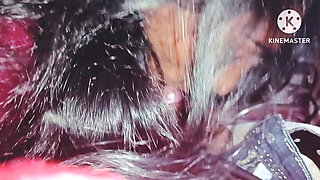 Vallage Haryana Desi Video Blowjob in My Step Brother