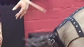 Purple-haired Dominatrix Whips Her Bound Slave Hard