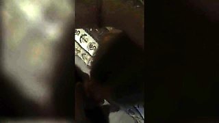 Big-Ass Brunette Girlfriend 69 and Cock Riding