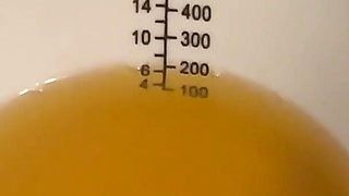 Daily Pee Diary: Desperately Needing to Pee in the Morning: Measuring Urine Output for 3 Days: Pee Diary 1: Bootyful Bella B