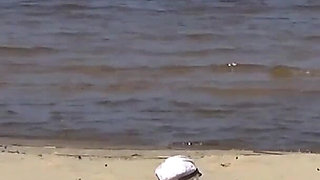 Nimble Mature Stepmommy Has Fun with Young Guys on the Beach 2