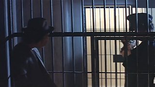 In the Realm of Sex 1977