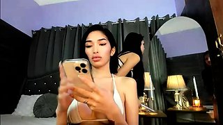 Amateur busty shemale fucking ass of tranny