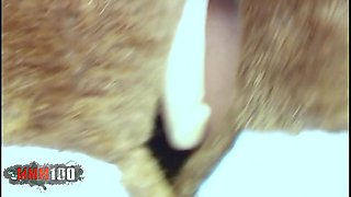 Pretty young ebony Nina Lisa getting naked - MMM100