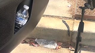 Hot amateur european foot and pantyhose fetish