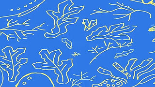 The Selkie (part 4)