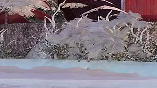 [mmd] Yolandel & Rita Chocolate Cream Double Striptease Black Silk Pantyhose Big Nipple Nipple Milk Chain Red Sole High Heels