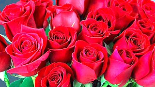 Big ass anal action with Desi Mazaa from Bangladesh