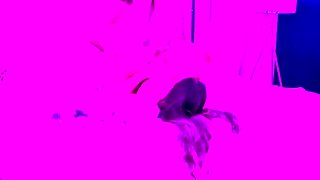 Emo Amateur Teen stript vor der Cam