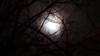 Laura Quest In Fucking & Camping, Adventures Best By