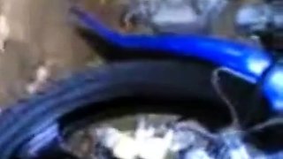 Arab Couple's Public Display of Affection in Indonesia