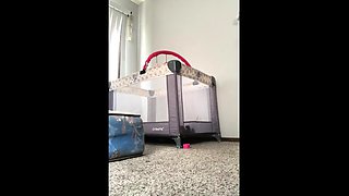 Black and round asses