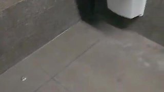 Sneaky Fuckfest in Public Rest room and Oral job with Door Open