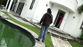 Ashli and Scott's cream pie clip