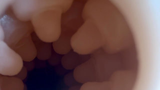 Stoya Destroya Fleshlight Fuck With Internal Veiw