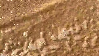 Foot fetish Handjob POV