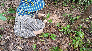 Thai Girls Walking and Talking and Picking Mushrooms in the Forest, Secretly Showing in the Deep Forest Clear Thai Voice