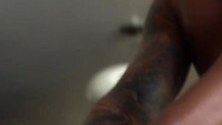 Schoolgirl the Stallion